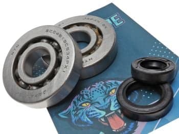Crankshaft Bearings - HI:PE