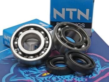 Crankshaft Bearings - HI:PE